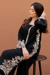 Lawn 2PC Unstitch Embroidered-104